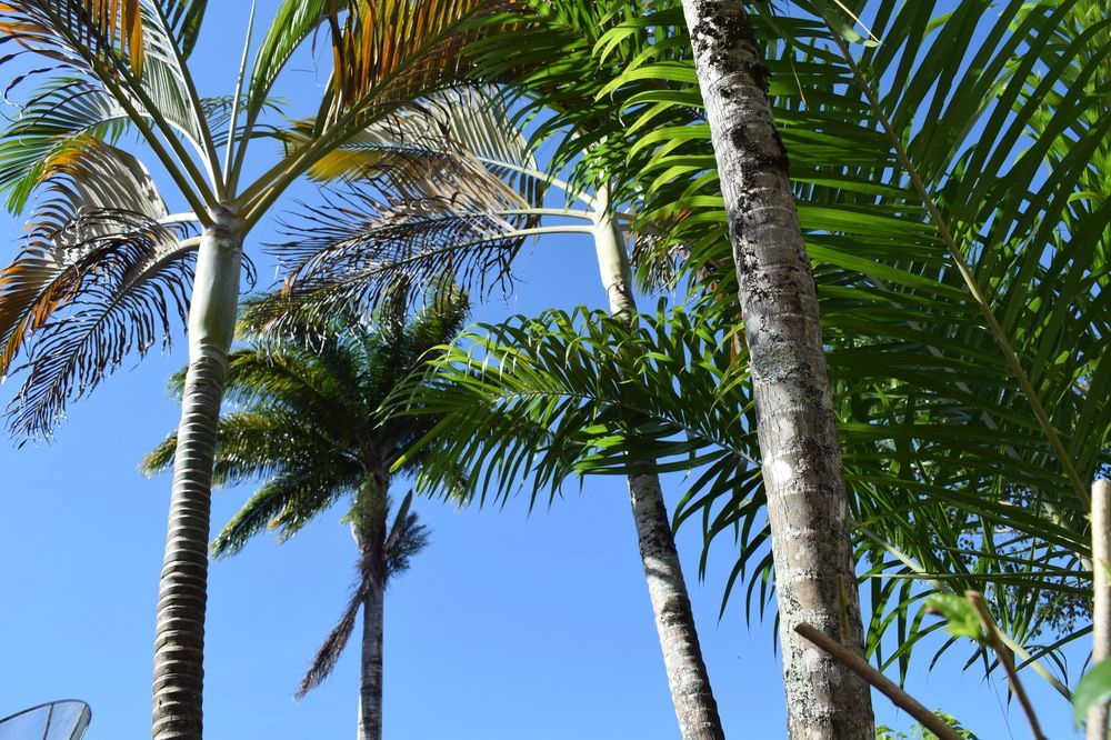 Pousada Sossego Boipeba Velha Boipeba Bagian luar foto