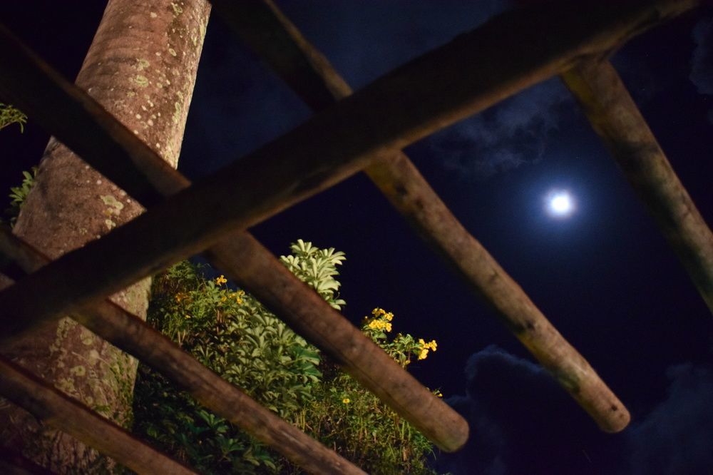 Pousada Sossego Boipeba Velha Boipeba Bagian luar foto